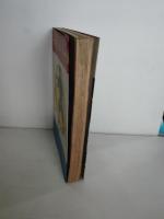 忍者・忍法画報