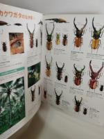 カブトムシ・クワガタムシ