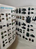 カブトムシ・クワガタムシ