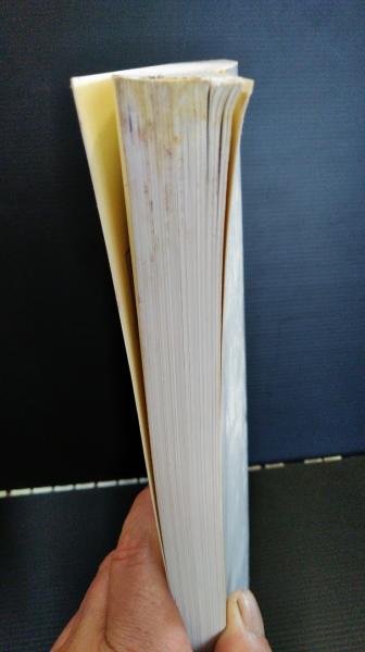 3_ 旅もよう 岩手編 駅でみつけた物語 JR東日本 昭和63年 1988年