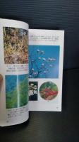栗駒山の自然を訪ねて