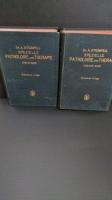 医学　洋書　ドイツ語　SPEZIELLE  PATHOLOGIE und THERPIE 病理学・治療法　　第１巻・第2巻　2冊一括