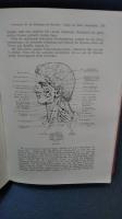 医学　洋書　ドイツ語　SPEZIELLE  PATHOLOGIE und THERPIE 病理学・治療法　　第１巻・第2巻　2冊一括