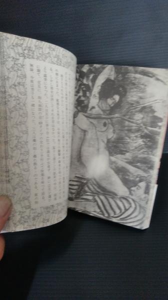 まぼろしの艶本 乱れ曇 （佐藤紅緑作といわれる幻の艶本 大正期の未 