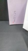 佐藤輔子 : 藤村永遠の恋人