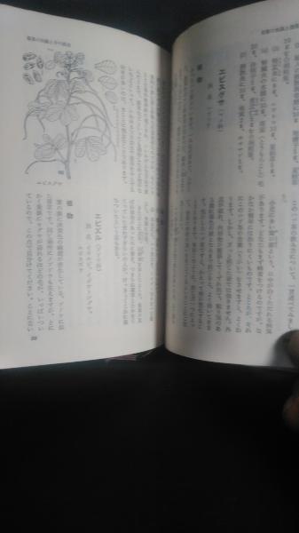 薬草の知識と効用 : 250種の薬草と名医の処方秘伝(大塚敬節, 長塩容伸