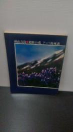 北限の花アッツ島再訪