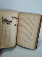 南極へいったねこ