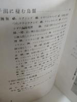 干潟の生物