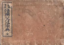 新撰活版 活用いろは字典 全