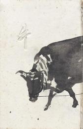 牛