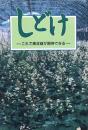 しどけ