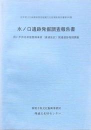 水ノ口遺跡発掘調査報告書