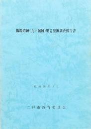 橋場遺跡(九戸城跡)緊急発掘調査報告書