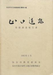 山口遺跡発掘調査報告書　　