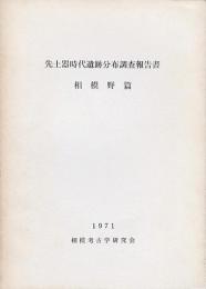 先土器時代遺跡分布調査報告書 相模野篇