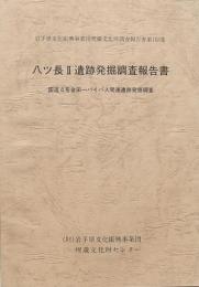 八ツ長Ⅱ遺跡発掘調査報告書