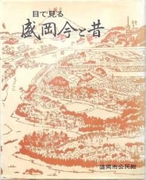 目で見る 盛岡今と昔