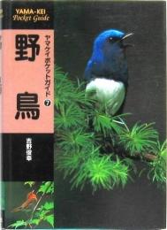 野鳥 (ヤマケイポケットガイド⑦)
