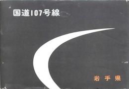 国道107号線