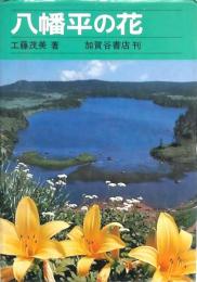 八幡平の花