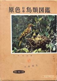 原色日本鳥類図鑑