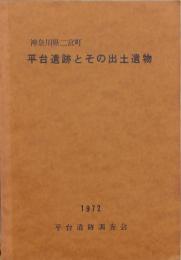 平台遺跡とその出土遺物