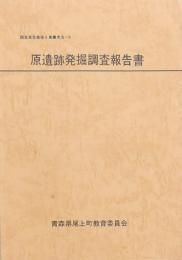 原遺跡発掘調査報告書