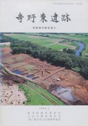 寺野東遺跡