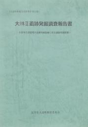 大林Ⅱ遺跡発掘調査報告書