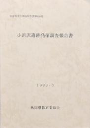 小浜沢遺跡発掘調査報告書