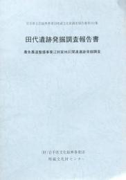 田代遺跡発掘調査報告書
