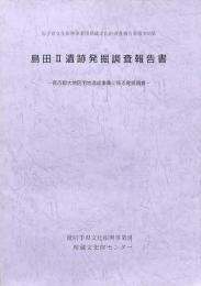 島田Ⅱ遺跡発掘調査報告書