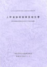 上野遺跡発掘調査報告書