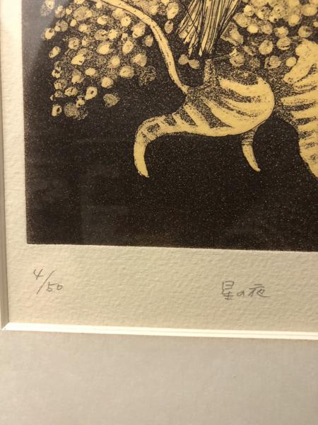 銅版画 高野玲子 星の夜 (高野玲子) / 盛高書店 / 古本、中古本