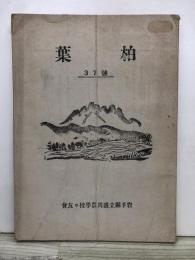 柏葉　　37號　　37号