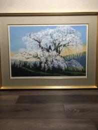 真作 佐野せいじ 木版画　 『三春瀧桜』 　42/450