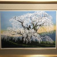 真作 佐野せいじ 木版画　 『三春瀧桜』 　42/450