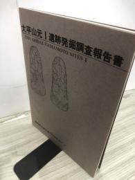 大平山元Ⅰ遺跡発掘調査報告書　調査報告第5集