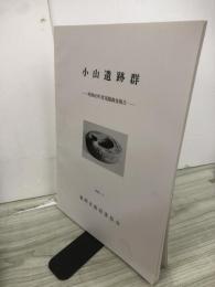 小山遺跡群 : 発掘調査報告
