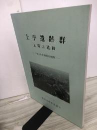 上平遺跡群 : 発掘調査概報