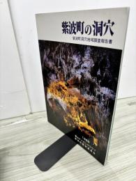 紫波町の洞穴 : 紫波町洞穴地域調査報告書