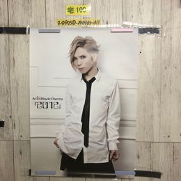 3_  ポスター Acid Black Cherry 2012 yasu ABC UP rise 515mm×728mm B2サイズ シミ汚れ・ヤケ有
