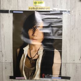 3_  ポスター Acid Black Cherry Recreation2 yasu ABC UP rise 515mm×728mm B2サイズ シミ汚れ・傷有 折れ跡有