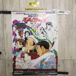 3_  ポスター 神秘の世界 エルハザード2 JV1021 Pioneer LDC 515mm×728mm B2サイズ シミ汚れ・折れ破れ有 書込み有