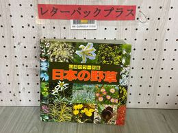 3_  山渓カラー名鑑 日本の野草 1983年9月 昭和58年 初版 山と渓谷社 図鑑 草花