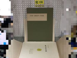 3_  詩画集 緑の導火線 THE GREEN FUSE 日和崎尊夫 木口木版全10枚 日本語版限定壱百部の内第J・49番 J49/100 昭和57年7月31日 1982年
