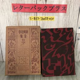 3_  新興文學全集 新興文学全集 24 露西亞篇 III ロシア 3 1928年 昭和3年 8月 5日 初版 平凡社  函入 押印塗潰し有 折れ・シミ有 日記小説