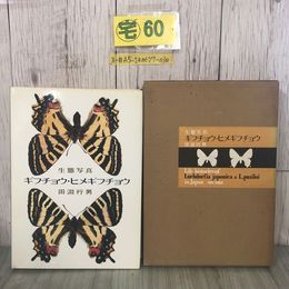 3_  生態写真 ギフチョウ・ヒメギフチョウ 田淵行男 講談社 1978年 昭和53年 函入 蔵書印・書き込み有