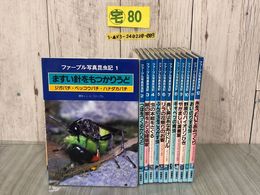 3_  全12巻揃い まとめ ファーブル写真昆虫記 1986-1987年 昭和61-62年 岩崎書店 シミあり 図鑑 カラー ハチ カマキリ バッタ サムライアリ